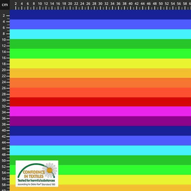 Avalana Baumwolljersey Rainbow Block Streifen - Tollpatsch Stoffe und Handmade